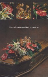 /media/2012/01/mezzo copribara 2 (Copia).jpg